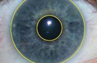 Polymer Optics Iris Recognition