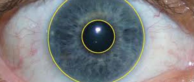 Polymer Optics Iris Recognition