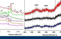 Plastic In Vivo Imaging