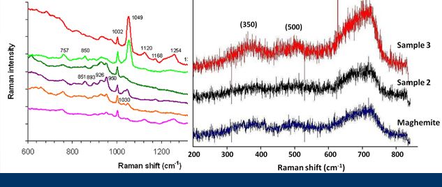 Plastic In Vivo Imaging