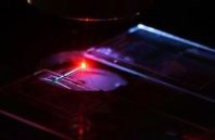 Blood Becomes Laser Emitter